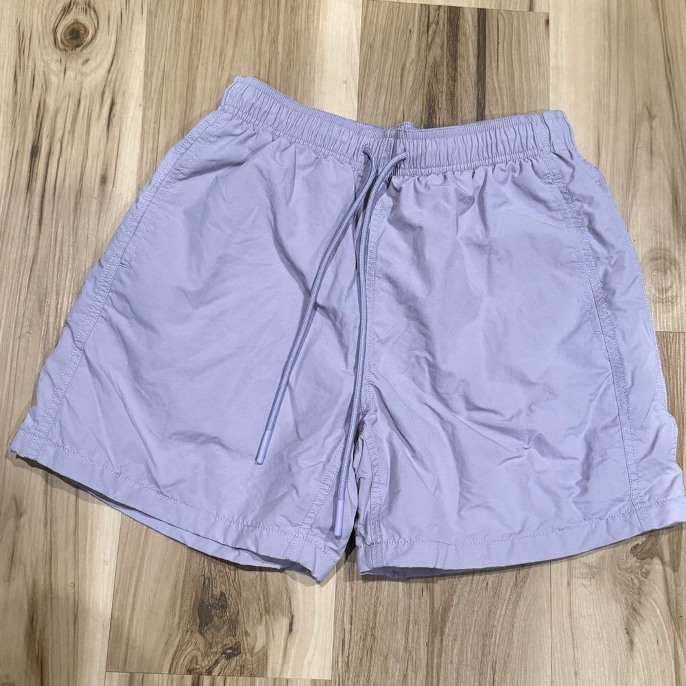 Anthropologie Standard Cloth Purple Athletic Shorts Men’s Small